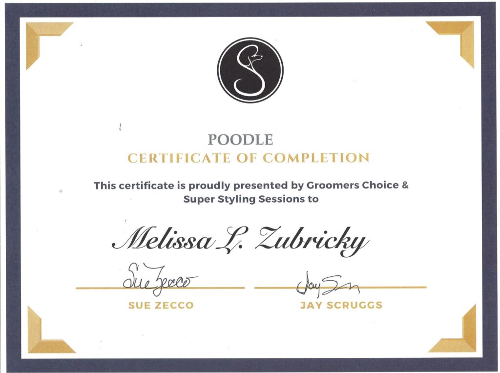 Poodle Groomer - Grooming By Missy