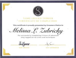 Long Legged Terrier Groomer - Certification - Grooming By Missy